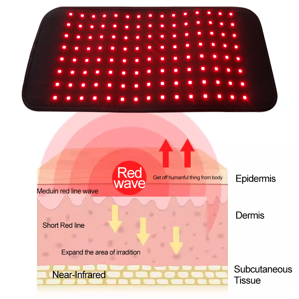 Cintura Professionale a 120 LE - Red Light Therapy Belt recensione e prezzo